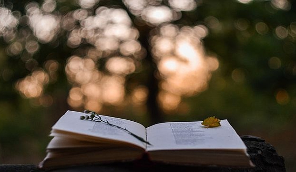 Poetry book in front of blurred sunset background