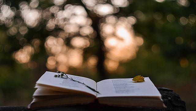 Poetry book in front of blurred sunset background #065